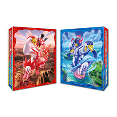 寶可夢收藏卡冊9315317