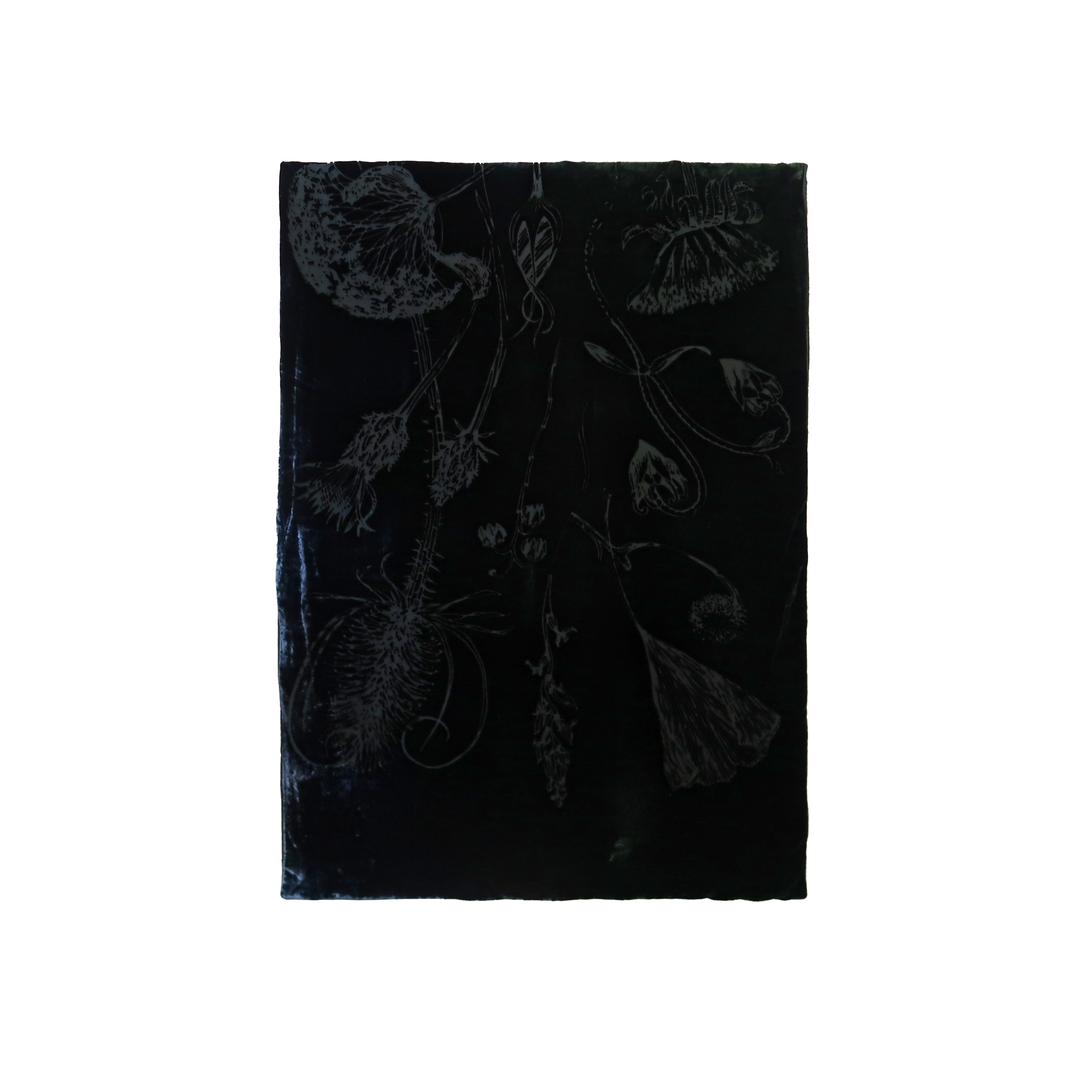 Kevin O'brien Studio