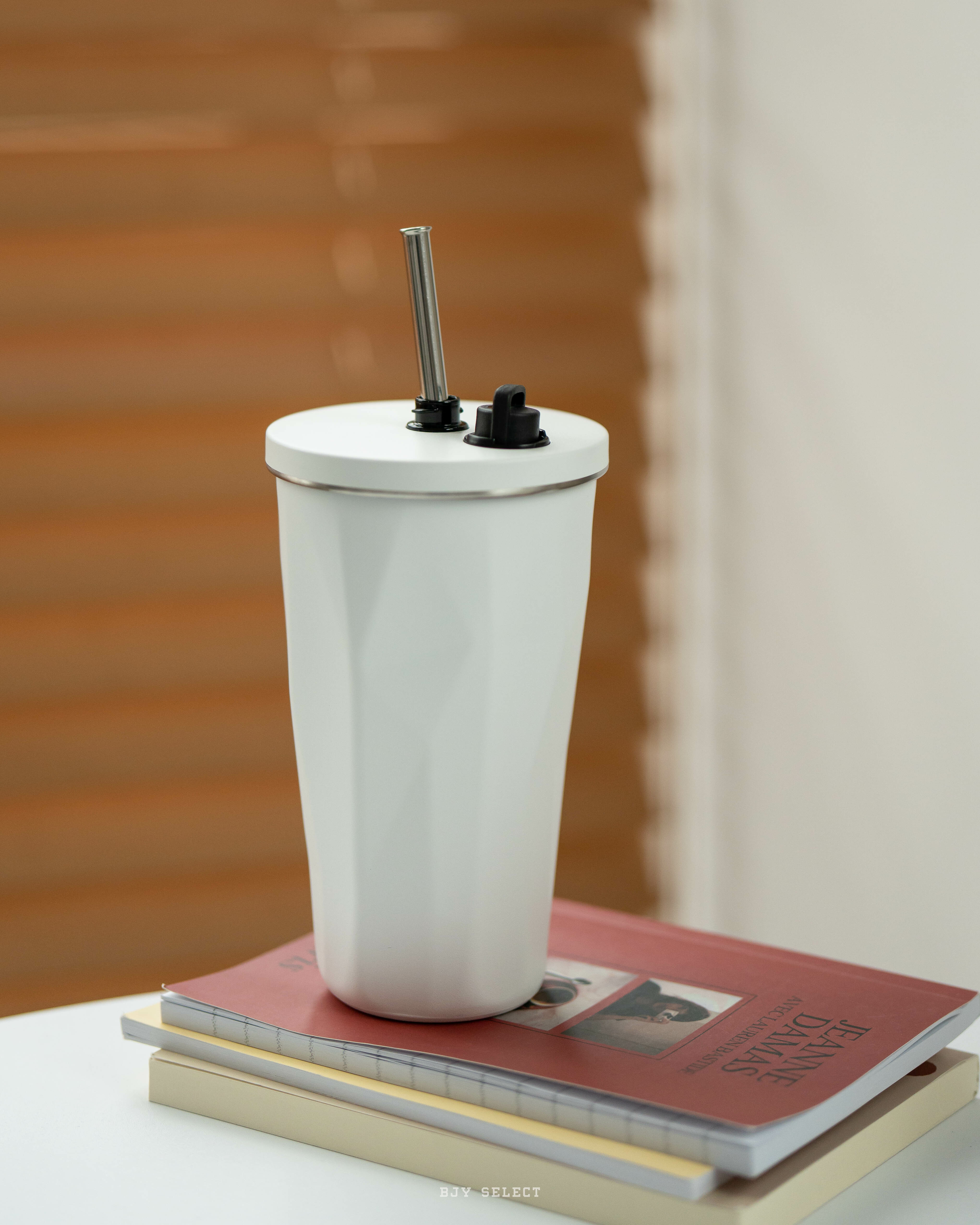 #預購 BJY STORE TYESO 不鏽鋼保溫杯 隨行保溫杯 吸管杯 五色