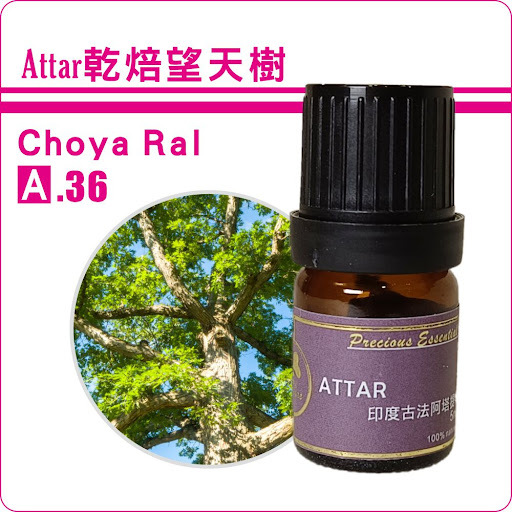乾焙望天樹Attar純精油