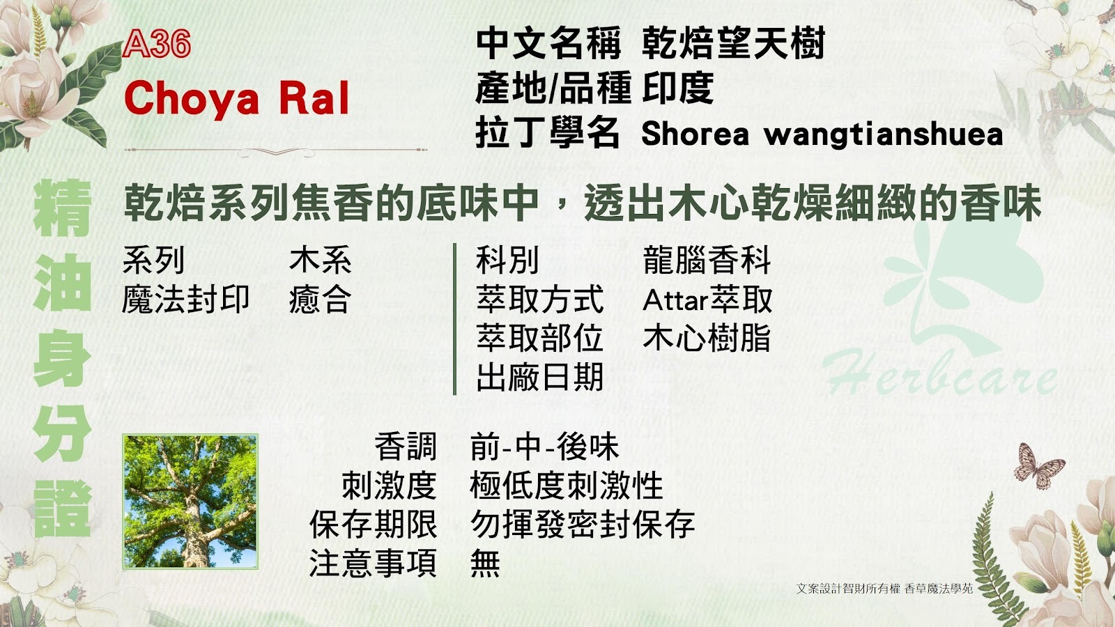 乾焙望天樹Attar純精油