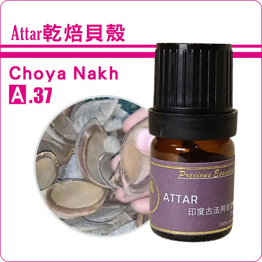 乾焙貝殼Attar純精油