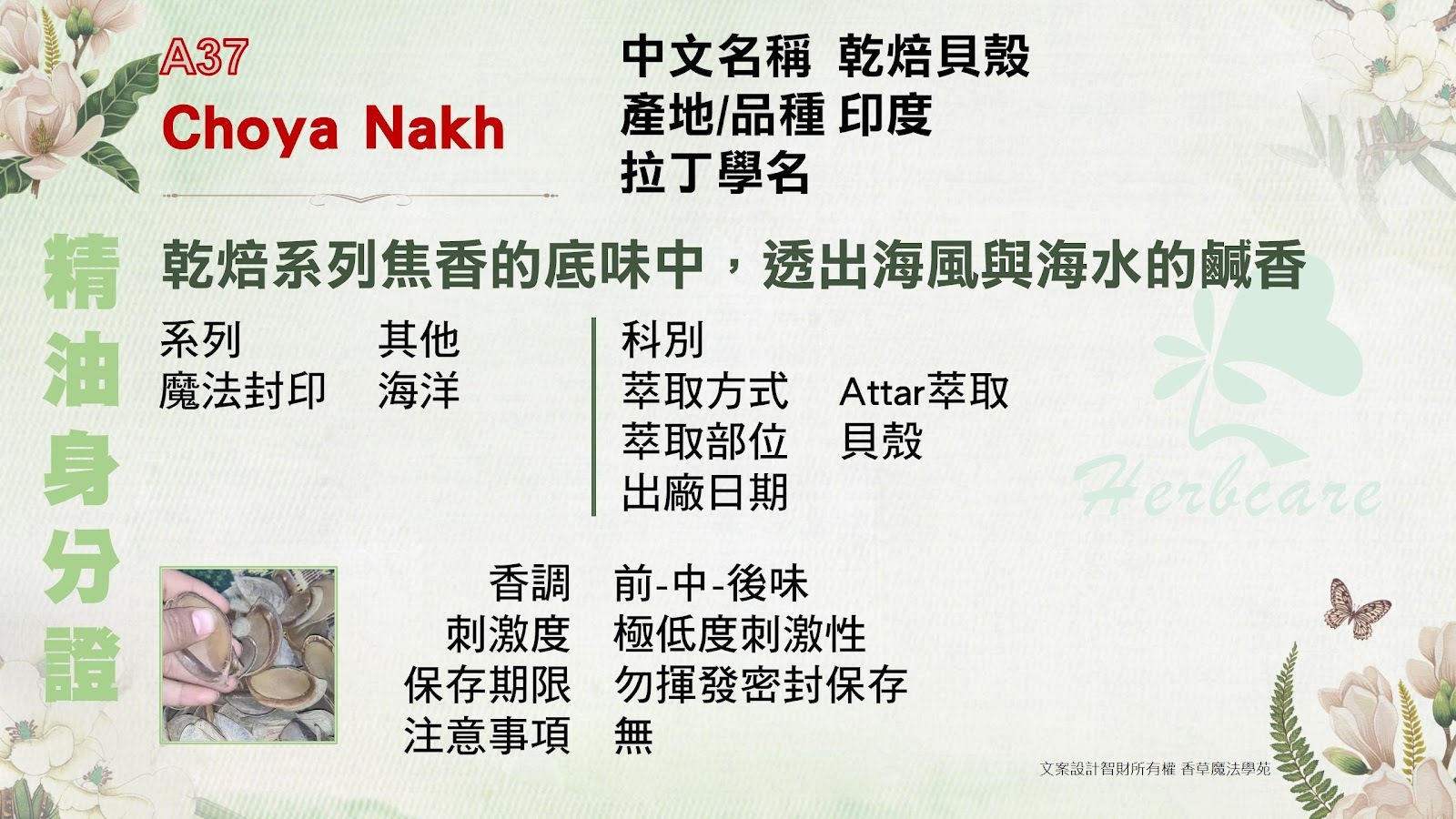 乾焙貝殼Attar純精油