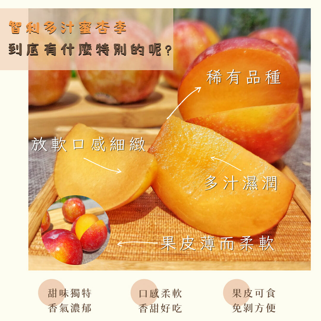 智利甜蜜杏李、櫻桃李、情人李、蘋果李