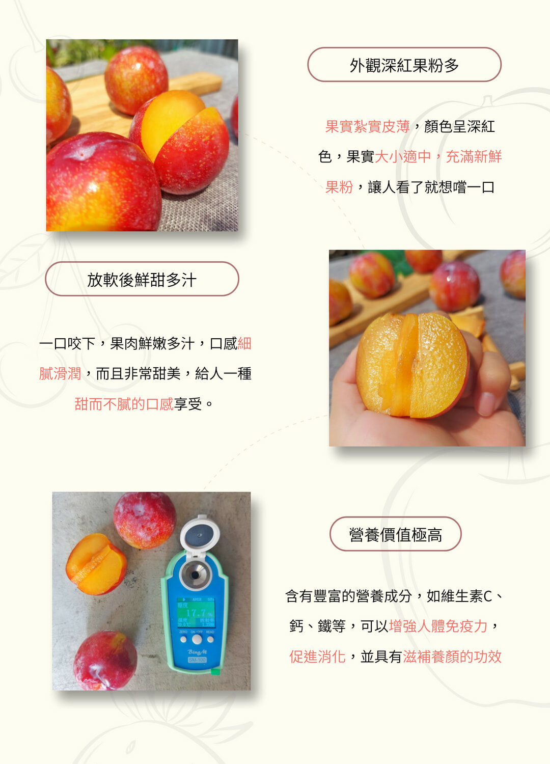 智利甜蜜杏李、櫻桃李、情人李、蘋果李