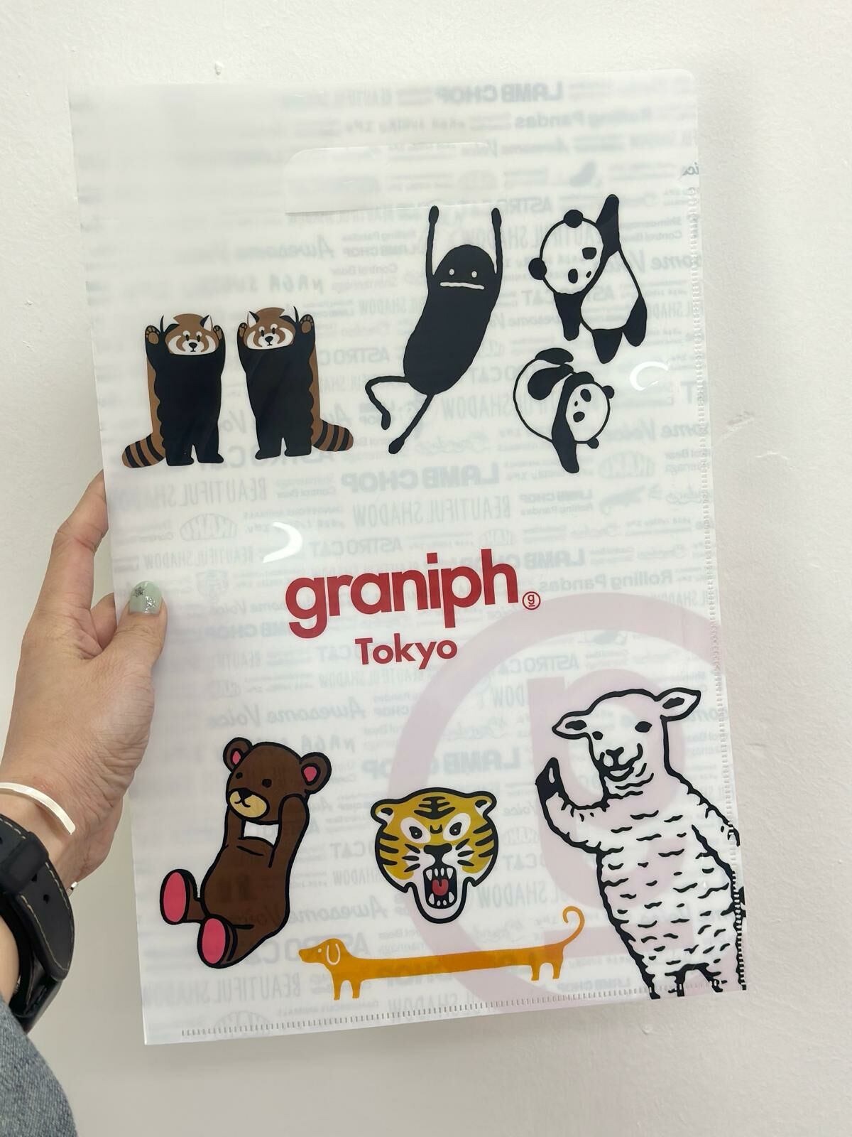 DTSG 經典角色file