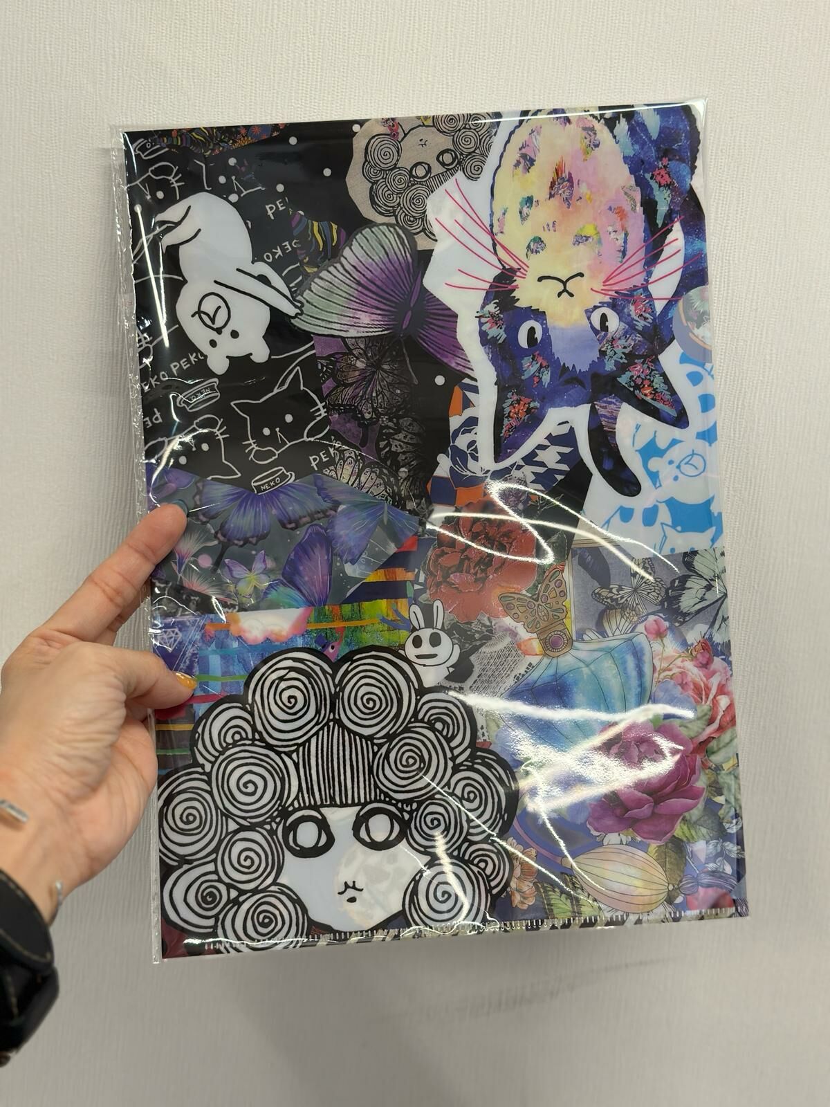 Scolar 女人頭與貓file