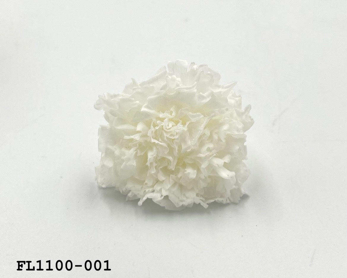 日本不凋中輪康乃馨 FL1100-001