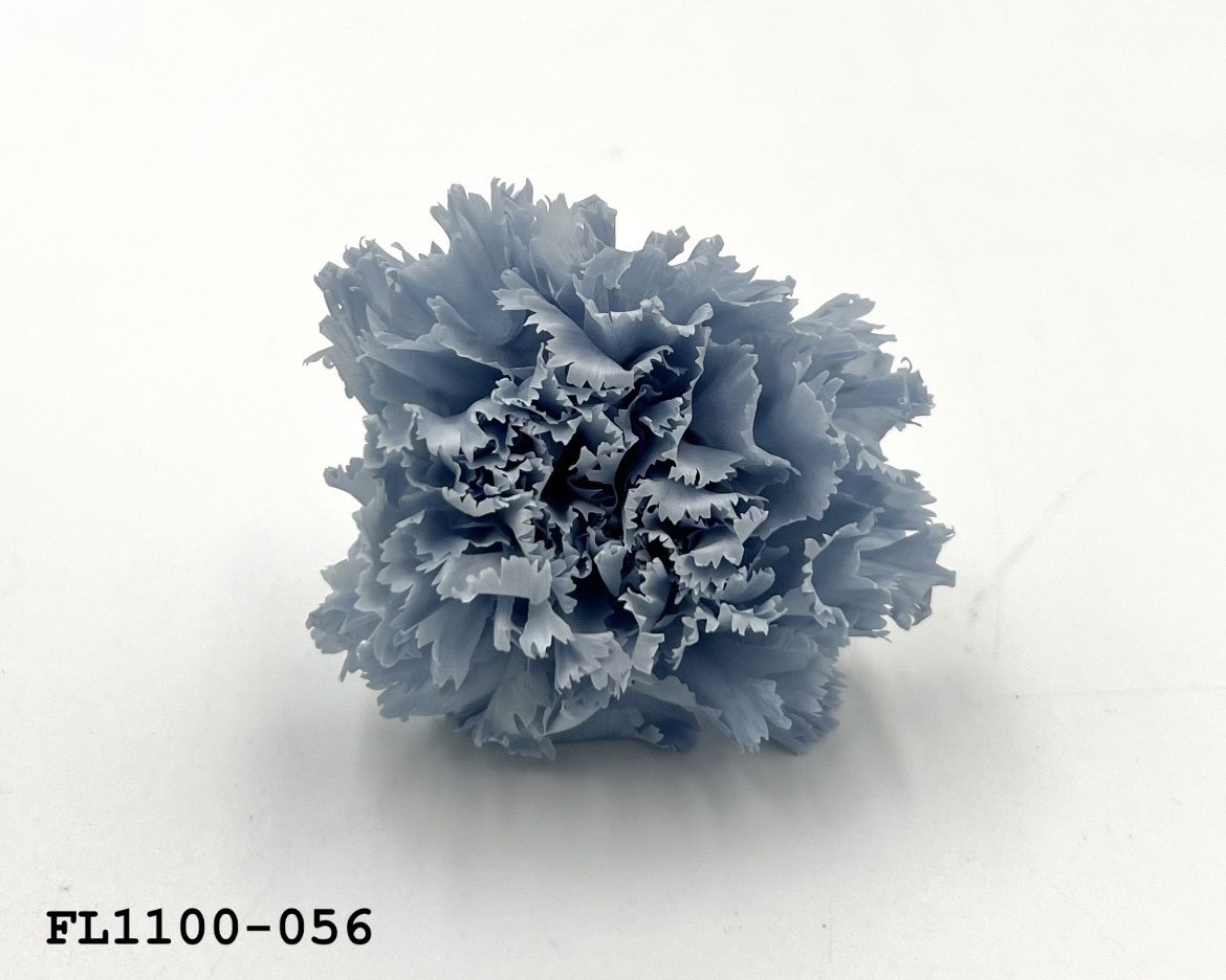 日本不凋中輪康乃馨 FL1100-056