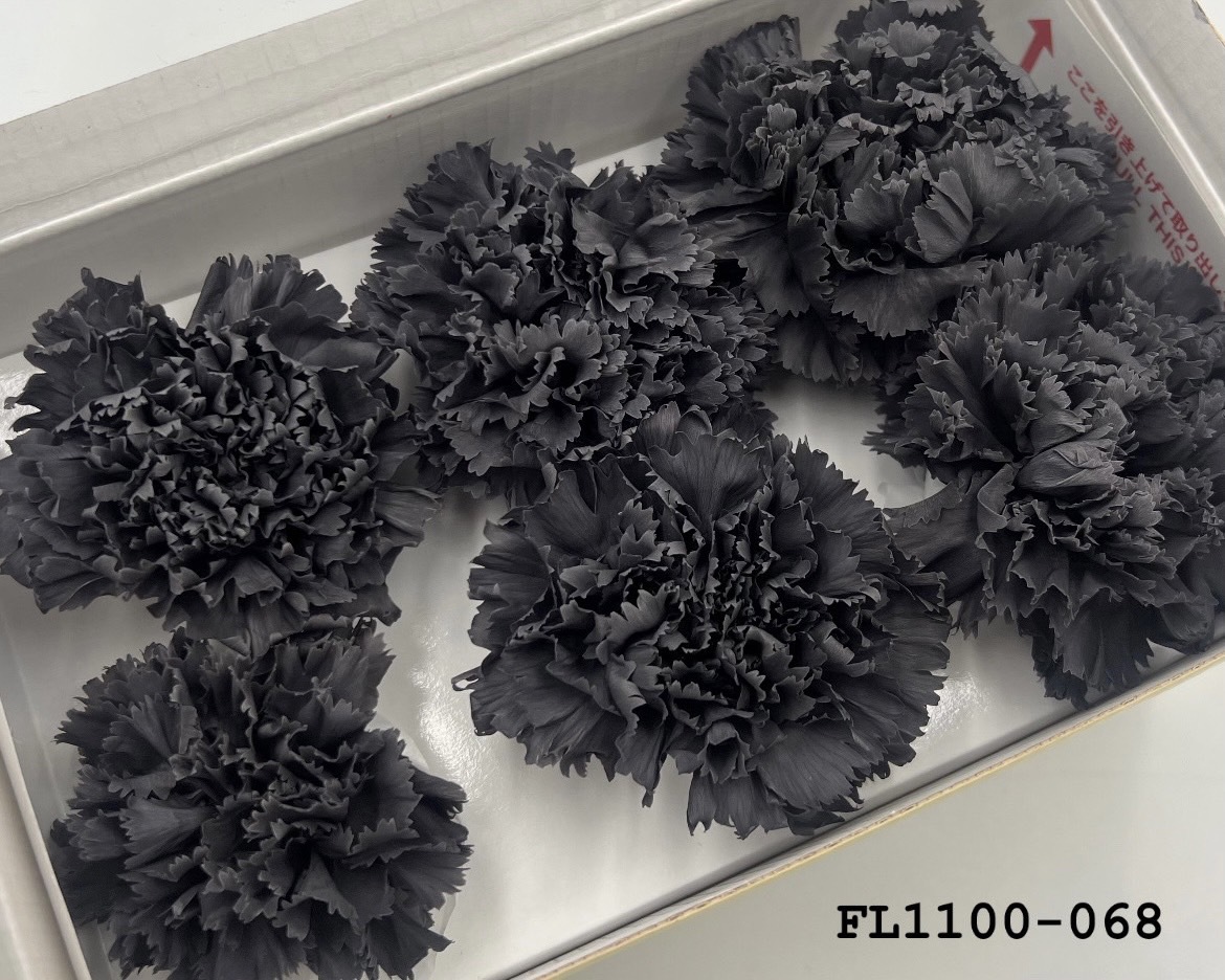 日本不凋中輪康乃馨 FL1100-068