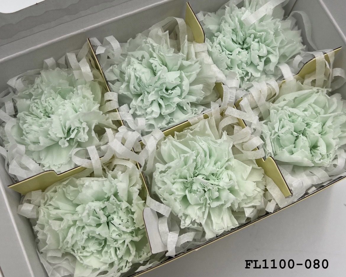 日本不凋中輪康乃馨 FL1100-080