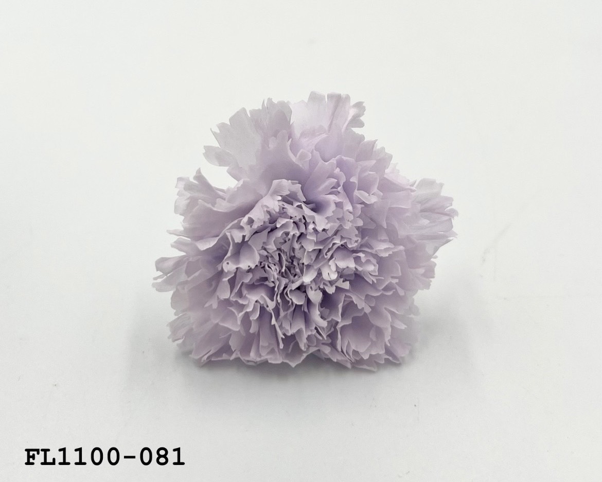 日本不凋中輪康乃馨 FL1100-081