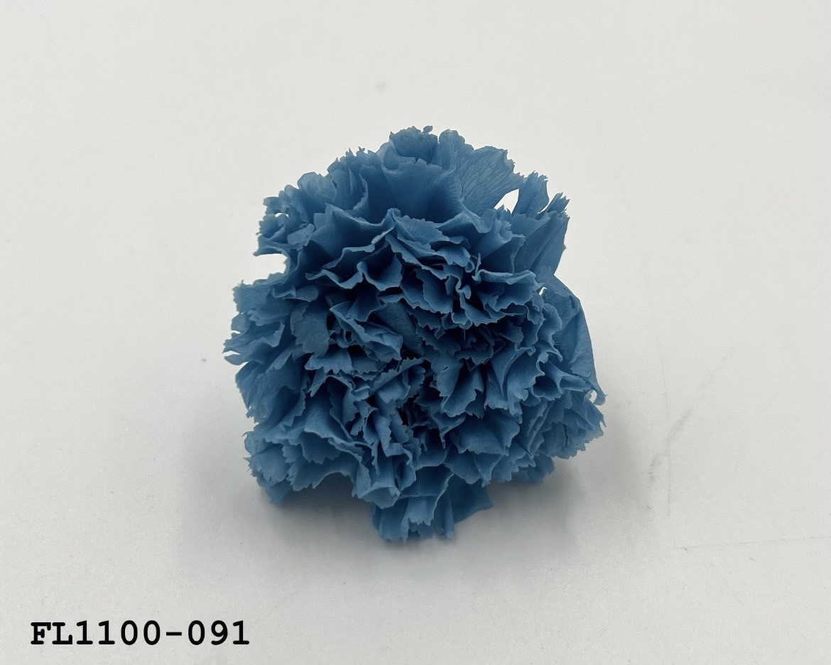 日本不凋中輪康乃馨 FL1100-091