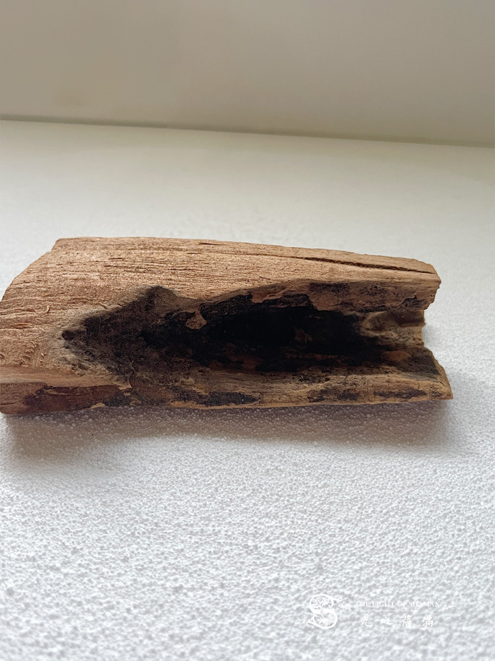 50年珍藏頂級檀香之王正印度老山檀香根部老料078-光之薩滿