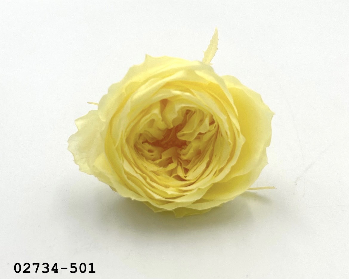 日本不凋庭園玫瑰(6朵) 02734-501