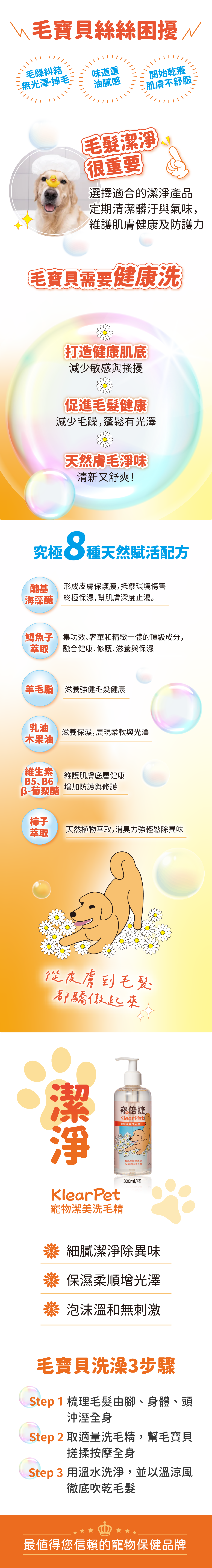 洗毛精商品介紹