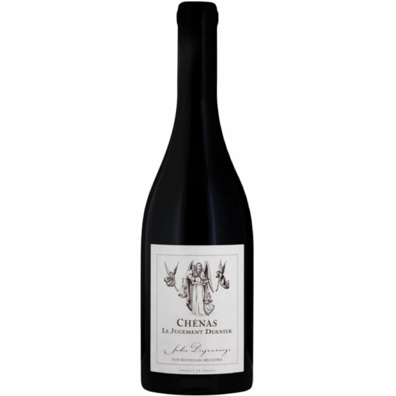 2015 Domaine Jules Desjourneys Chenas Le Jugement Dernier