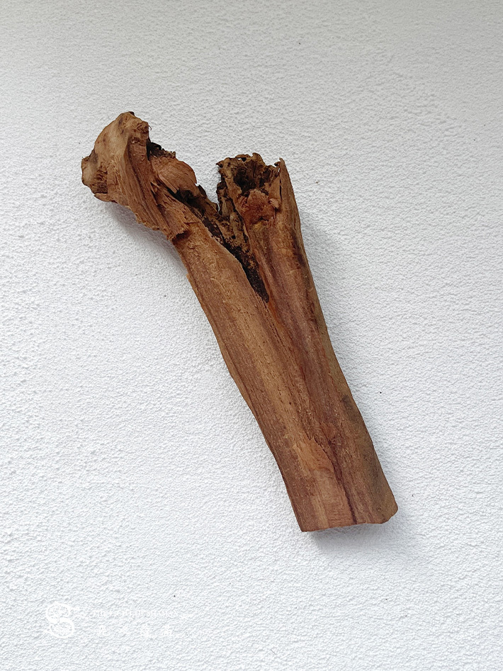 50年珍藏頂級檀香之王正印度老山檀香根部老料088-光之薩滿