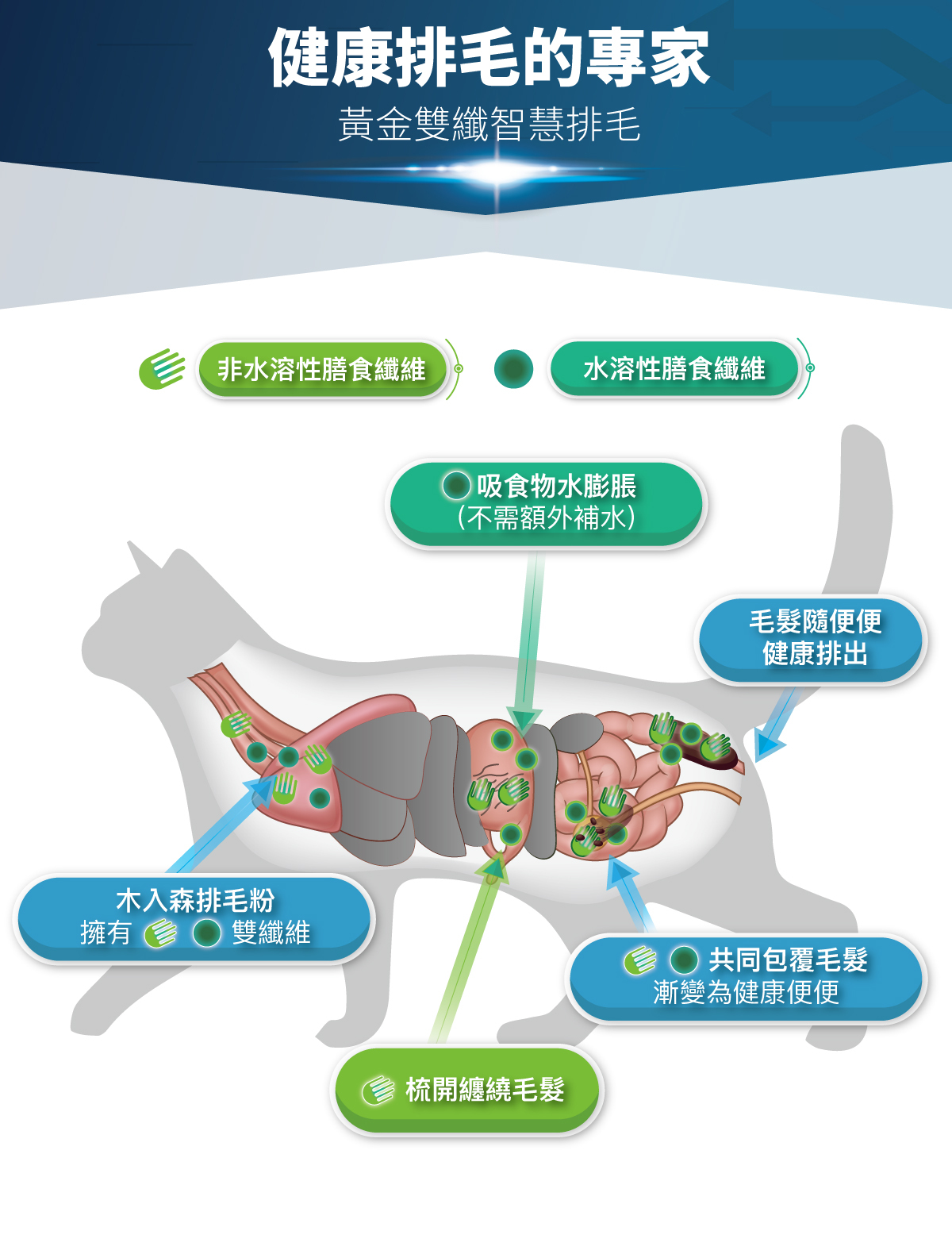 Moreson 木入森｜貓咪排毛粉