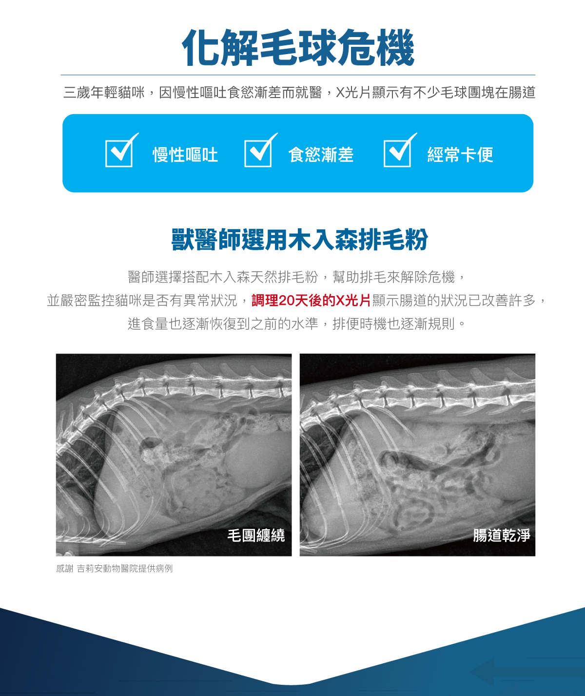 Moreson 木入森｜貓咪排毛粉