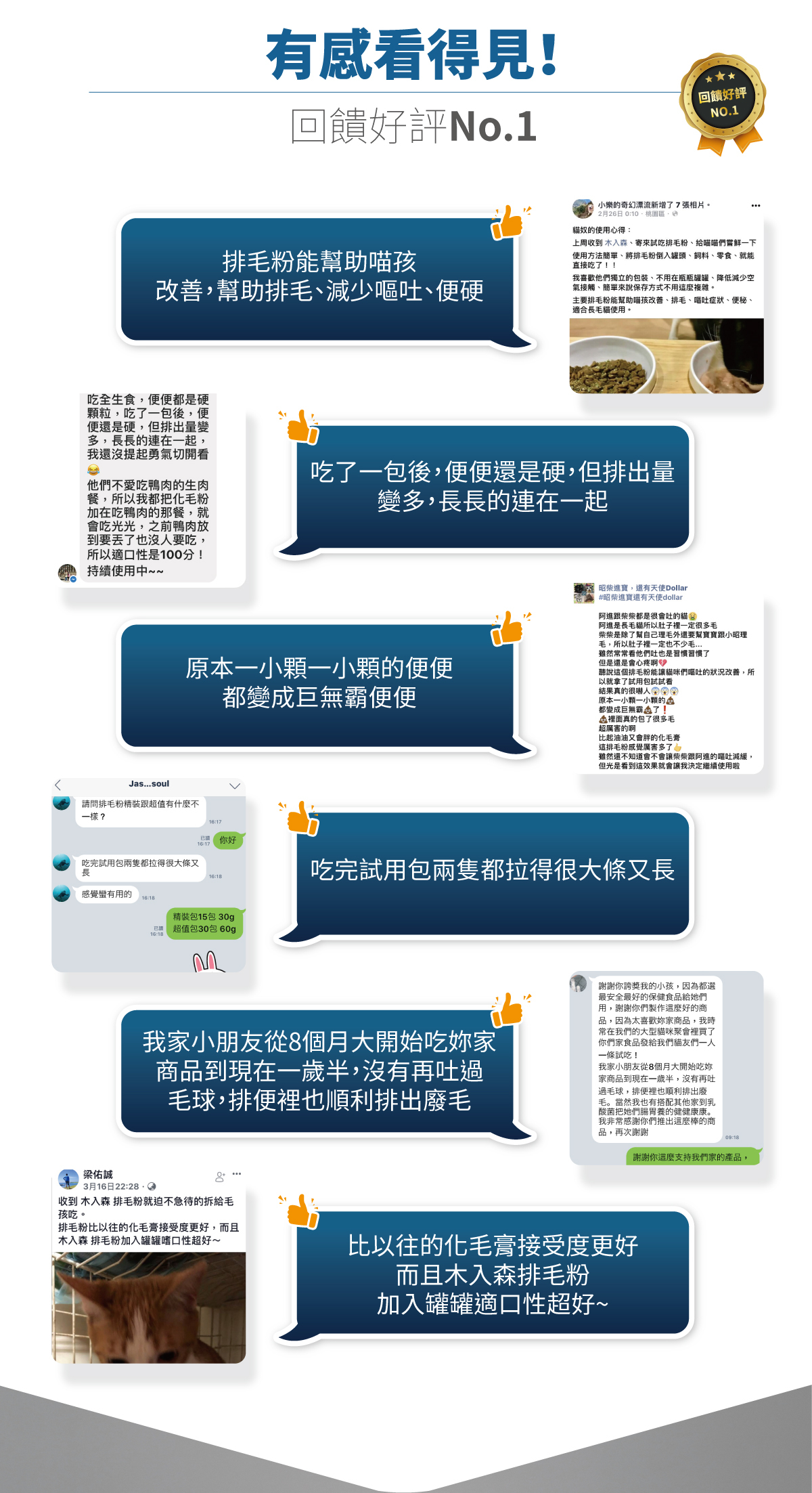 Moreson 木入森｜貓咪排毛粉