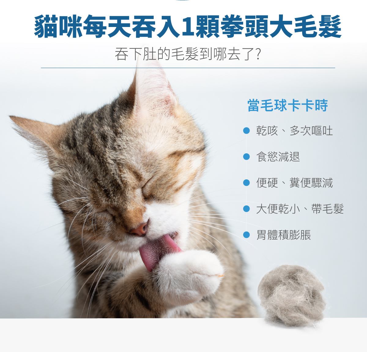 Moreson 木入森｜貓咪排毛粉