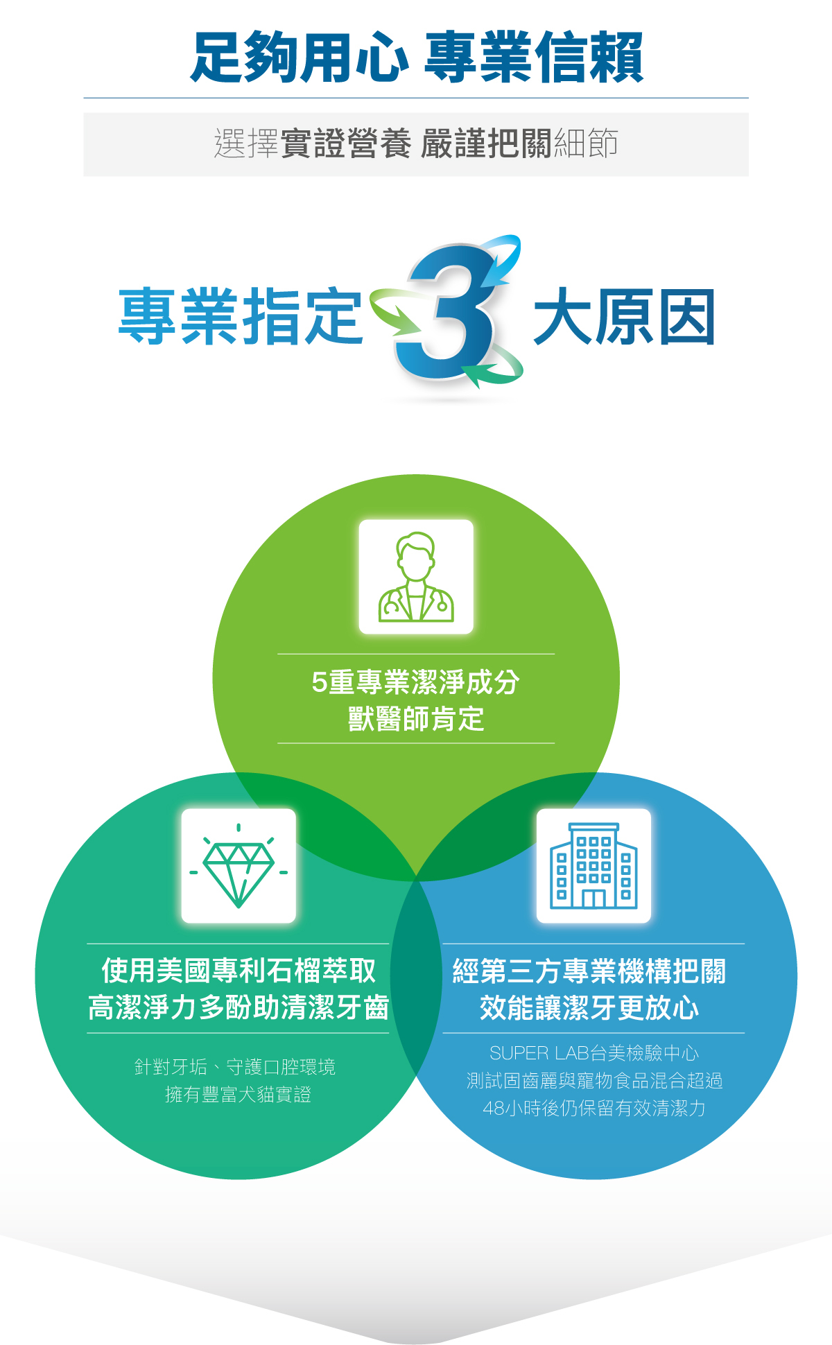 木入森｜貓咪固齒麗口滴劑 30ml