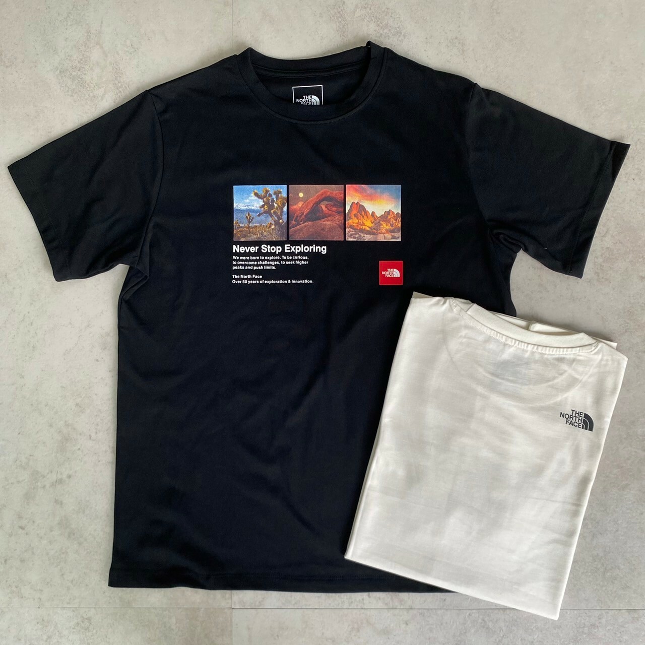 The North Face 寫實藝術風景小圖短Tee NF0A81N7