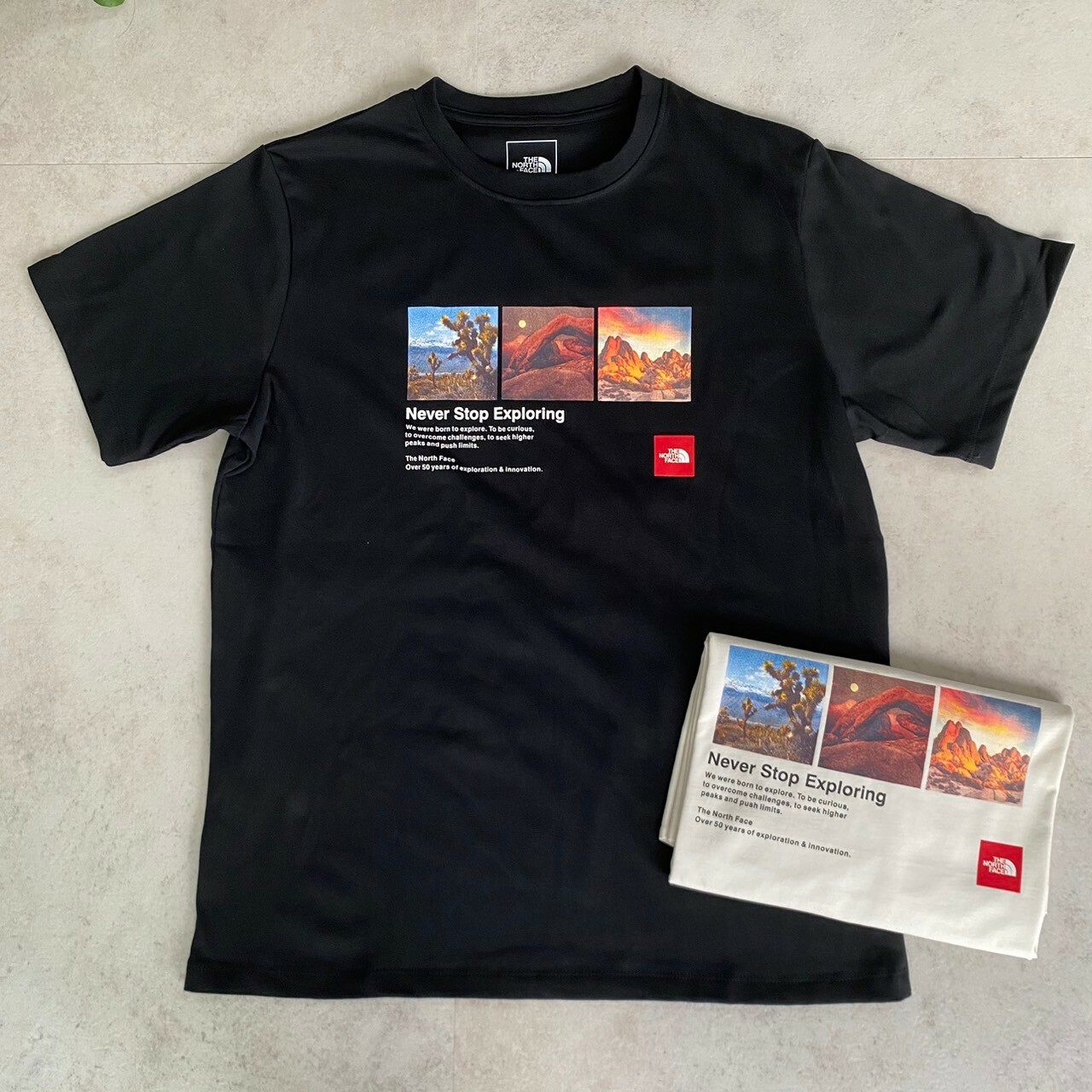 The North Face 寫實藝術風景小圖短Tee NF0A81N7