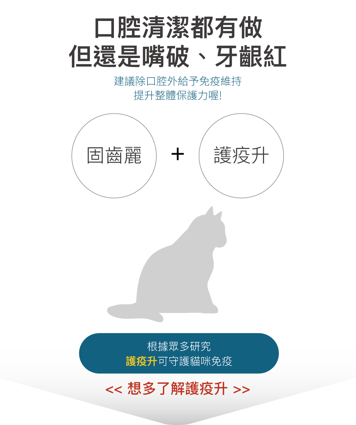 木入森｜貓咪固齒麗口滴劑 30ml