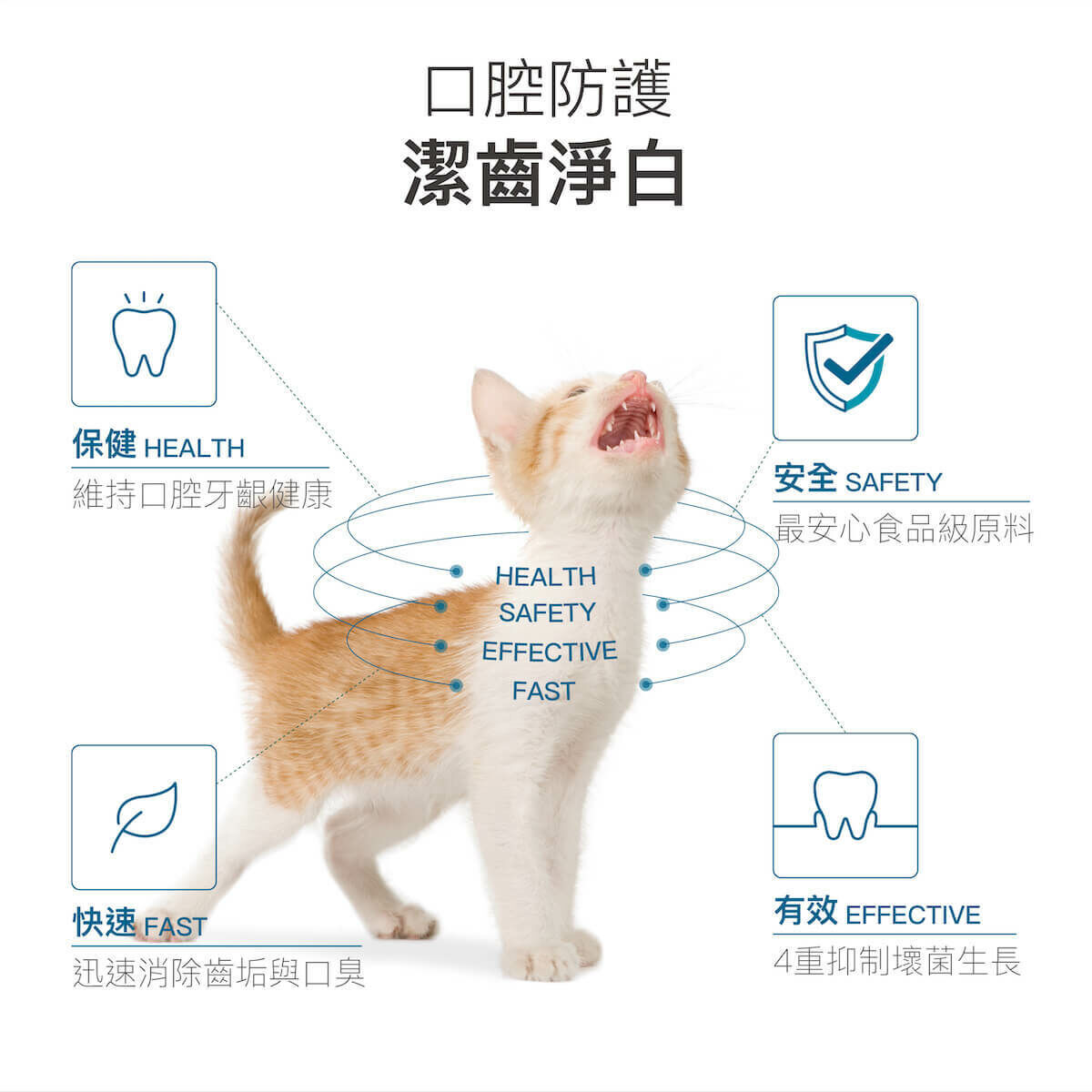 Moreson 木入森｜貓咪固齒麗口滴劑 30ml