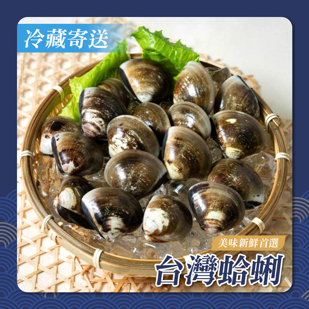 台灣蛤蜊▲冷藏寄件