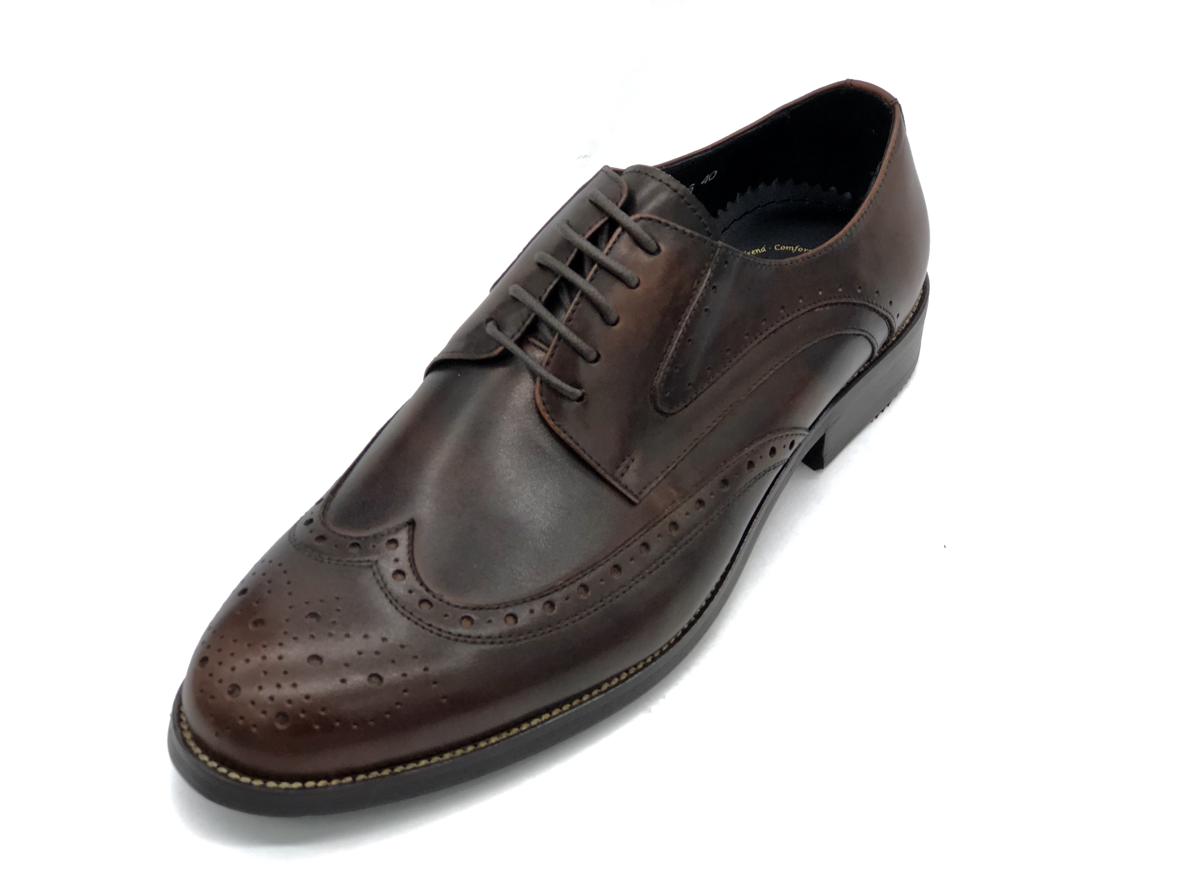 Revic 男裝皮鞋 | TCF-46 |  啡色翼紋德比皮鞋