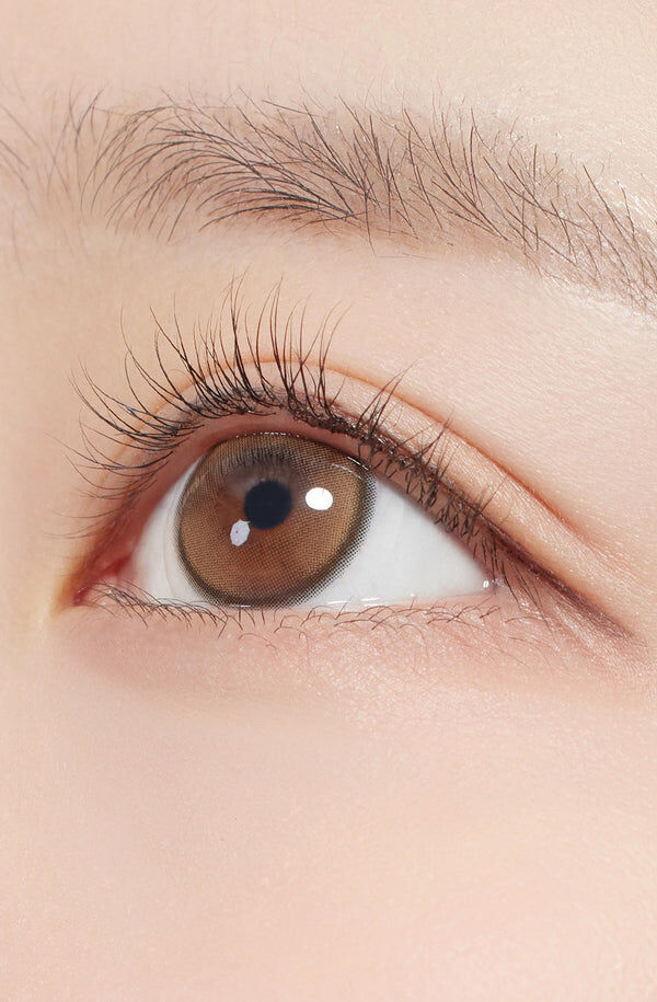 First Love Kristin 1 Day (Brown)(10片)