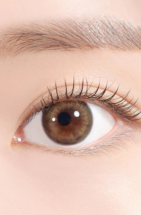 Bittersweet Kristin 1 Day(Olive Brown)(10片)