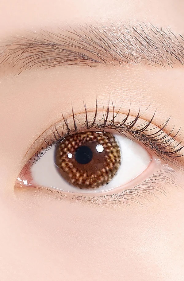 Bittersweet Kristin 1 Day(Amber Brown)(10片)