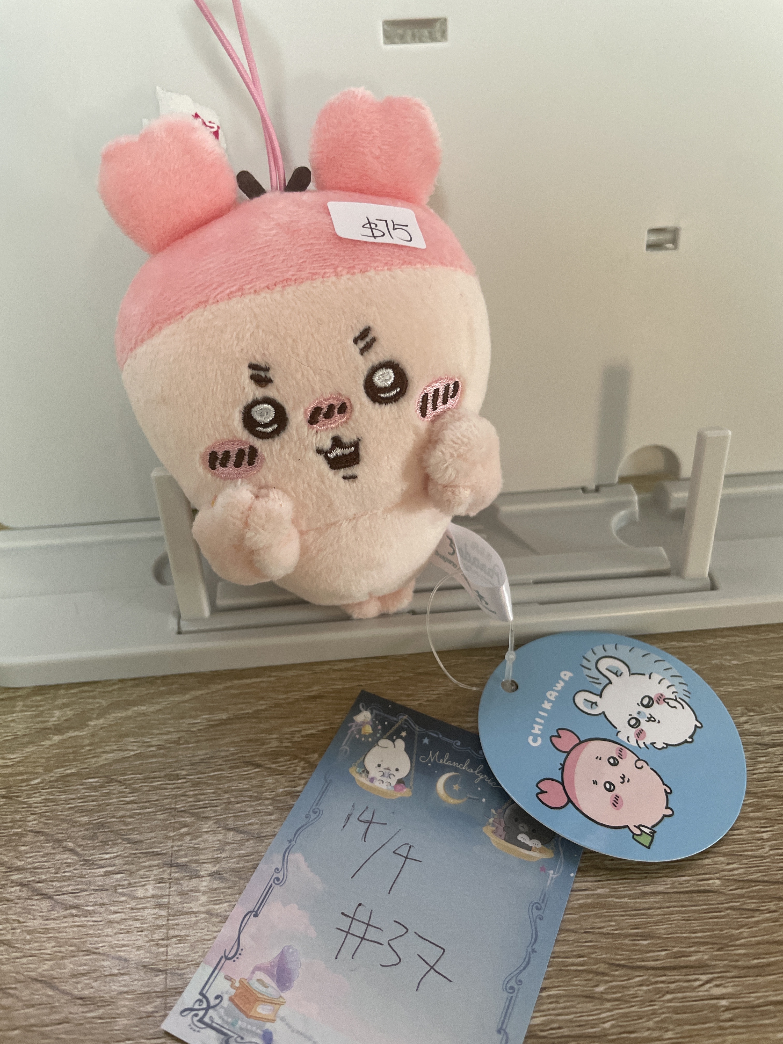 CHIIKAWA 古本屋 公仔#37