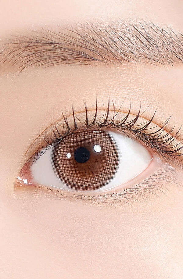 Forever Young Kristin 1 Day(Wannabe Brown)(10片)