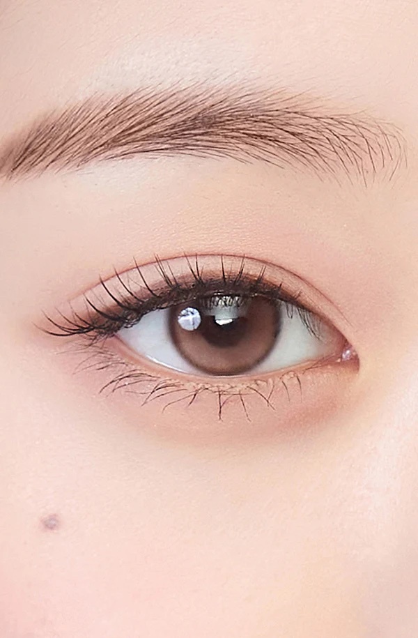 Dewy Kristin 1 Day(Brown)(10片)