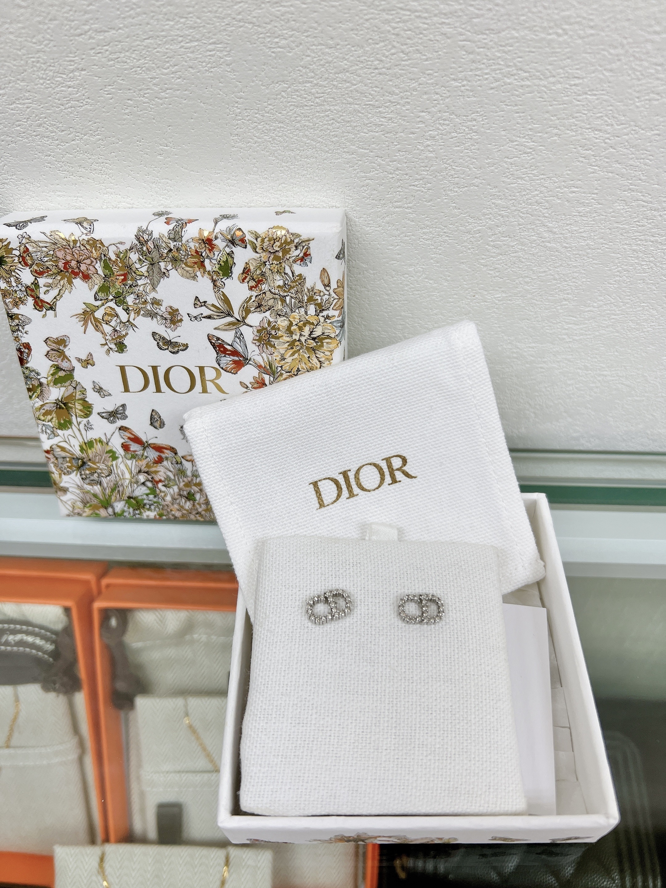 Dior Claire D Lune earrings silver