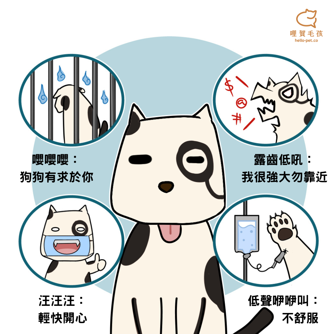 狗狗叫聲大解密