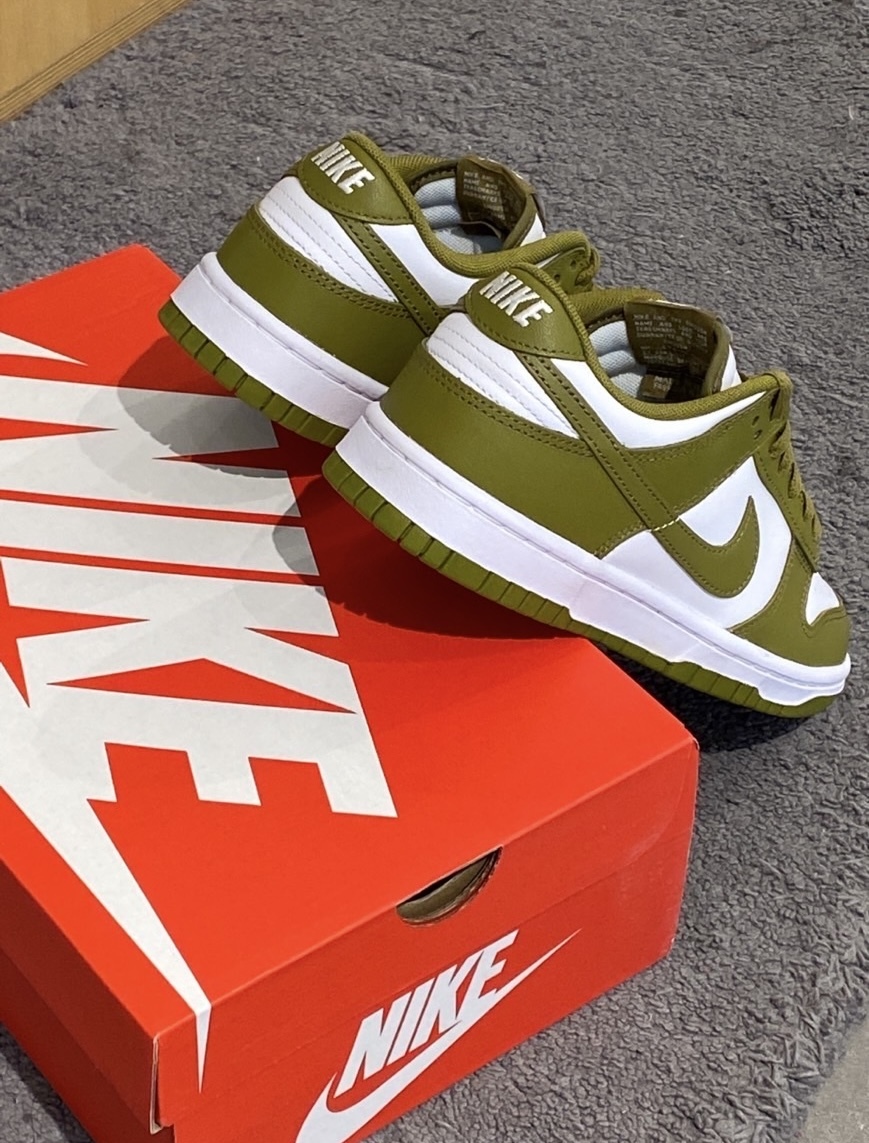 Nike Dunk Low 抹茶綠 綠色 皮革 男款 DV0833-105/預購