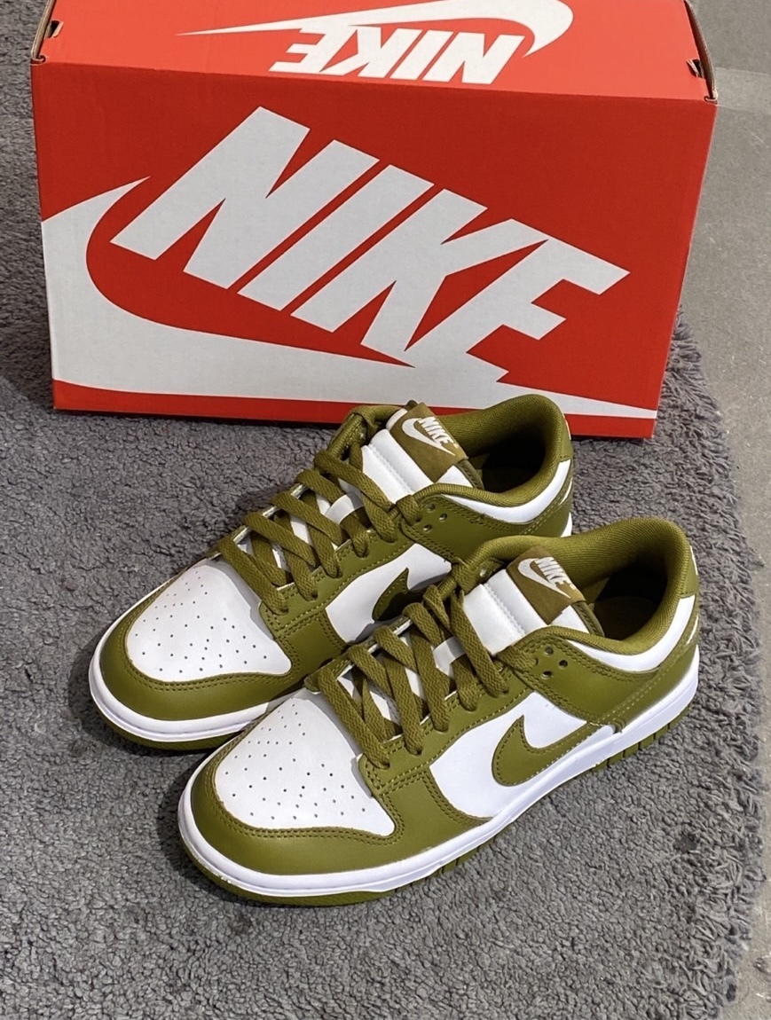 Nike Dunk Low 抹茶綠 綠色 皮革 男款 DV0833-105/預購