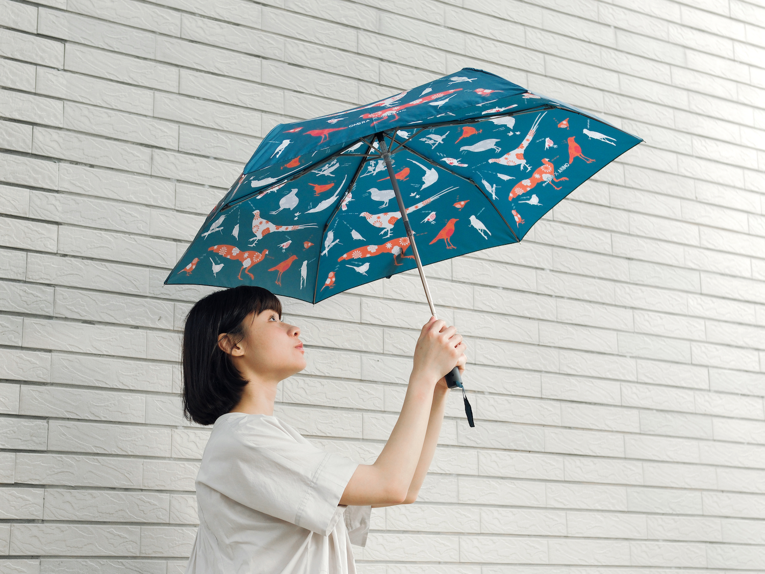 台灣鳥吱聲雨傘