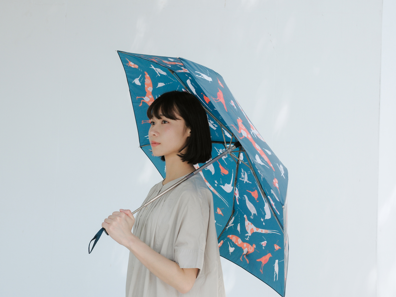 台灣鳥吱聲雨傘