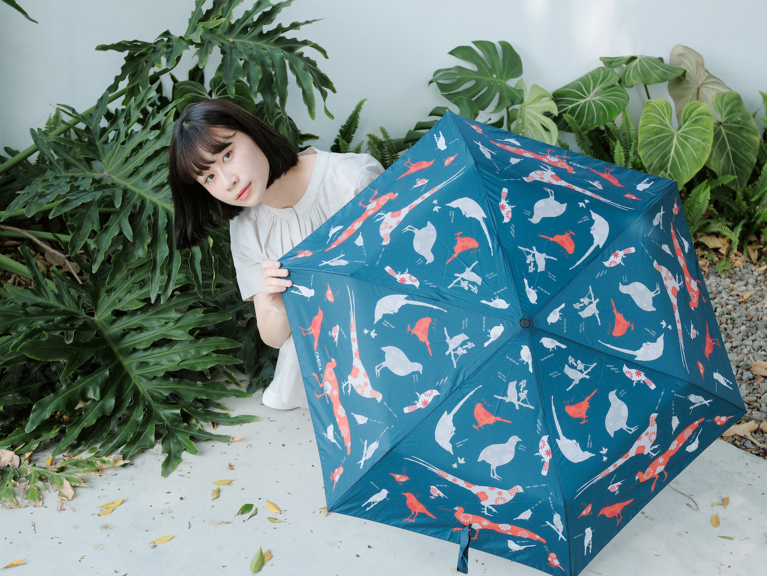 印花樂台灣鳥吱聲雨傘