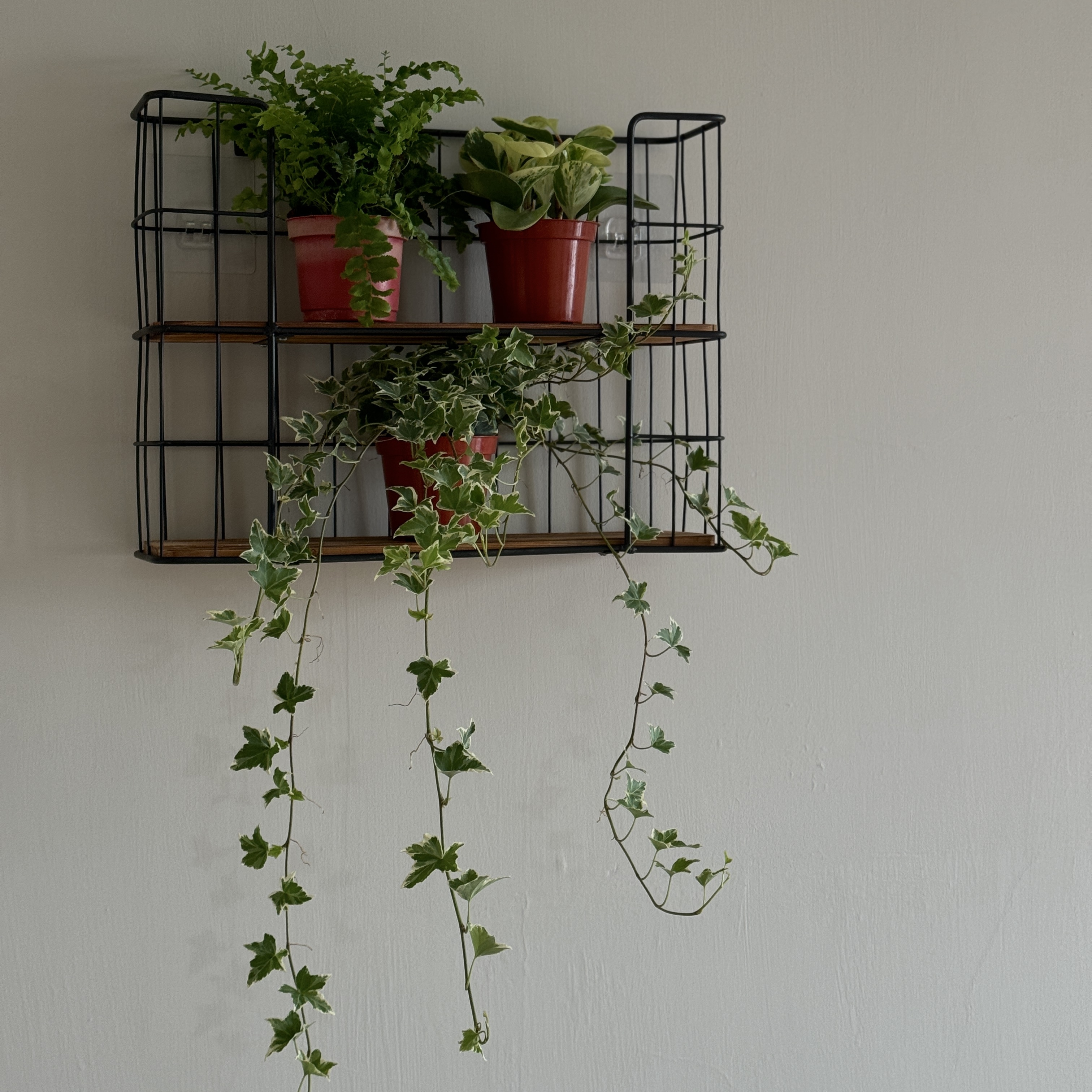 日式壁掛雙層置物架