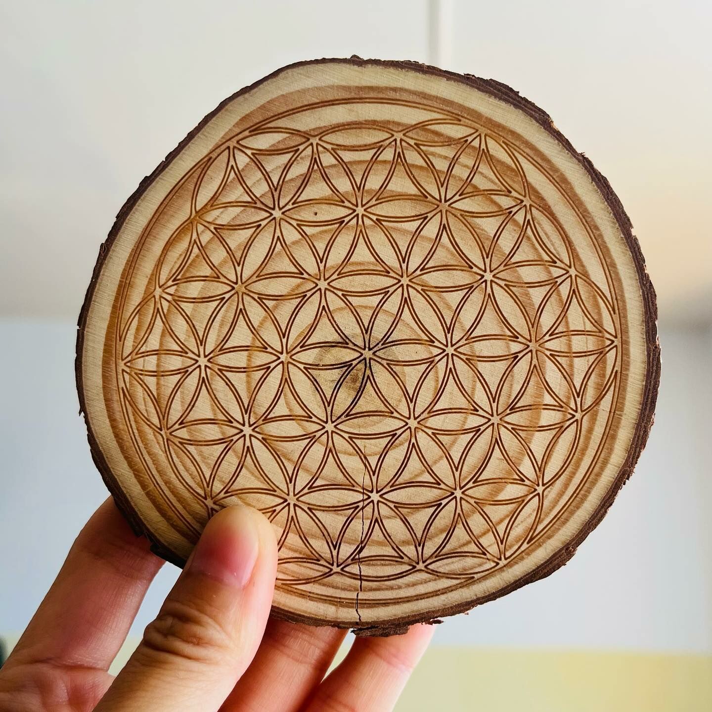 [原石] 生命之花 原木杯墊 10 公分