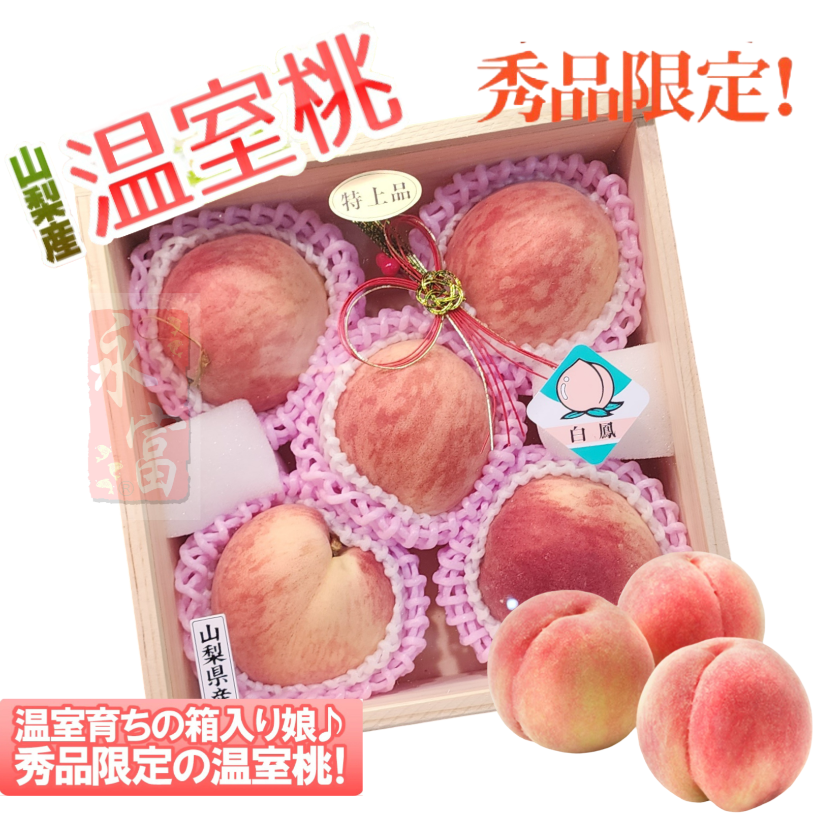 日本山梨縣溫室桃(5-6個)