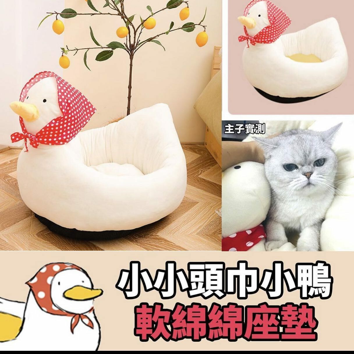 頭巾小鴨貓窩